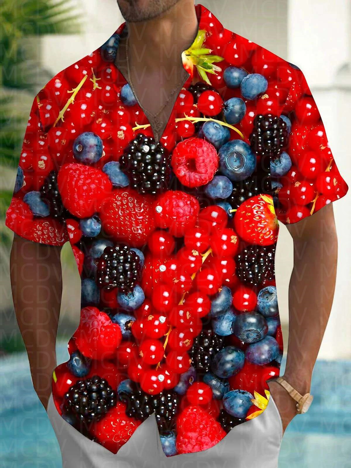 Cute Pattern Men's Hawaiian Sh - Shirt Camp Collar review and price